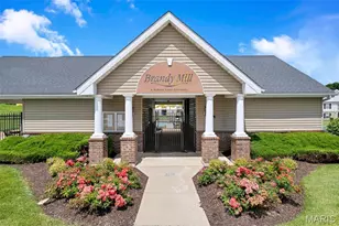 100 Brandy Mill Circle, High Ridge, MO 63049 - Photo 29