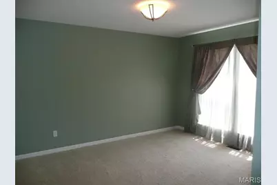 118 Fallon Villa Court, O'Fallon, MO 63368 - Photo 13