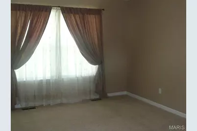 118 Fallon Villa Court, O'Fallon, MO 63368 - Photo 3