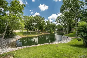 13348 La Barge Dr, Chesterfield, MO 63141 - Photo 53