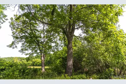 2264 Wurtz Road, Hermann, MO 65041 - Photo 19
