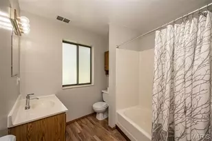 415 Lilac Ln, Saint Clair, MO 63077 - Photo 19