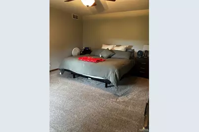 203 Vine Street, Clarence, MO 63437 - Photo 15