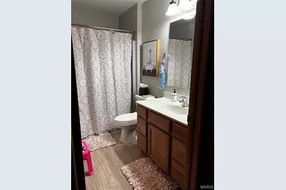 203 Vine Street, Clarence, MO 63437 - Photo 17