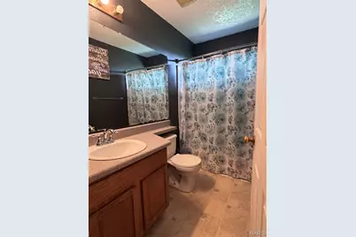 39325 State Highway 53, Campbell, MO 63933 - Photo 9