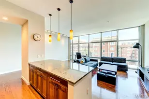 9 N Euclid Ave, Saint Louis, MO 63108 - Photo 11