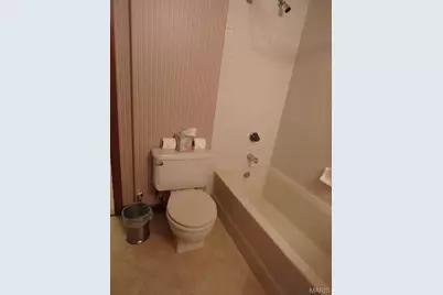 415 Shirley Ridge Drive #16, Saint Charles, MO 63304 - Photo 23