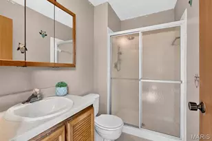 13711 La Conte Ct, Unincorporated, MO 63128 - Photo 13