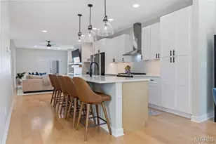 3005 Missouri Ave, Saint Louis, MO 63118 - Photo 9
