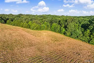 12621 Hyfield Rd, De Soto, MO 63020 - Photo 19