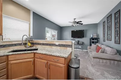 103 Mackintosh Lane, O'Fallon, MO 63368 - Photo 17