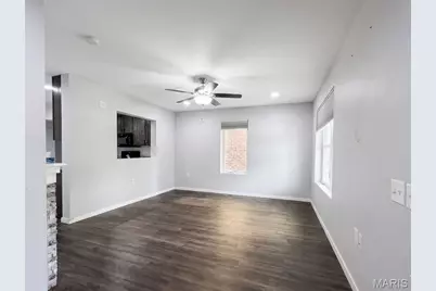 3509 Park Avenue, Saint Louis, MO 63104 - Photo 5