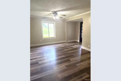 811 Andrews Street, Fredericktown, MO 63645 - Photo 5