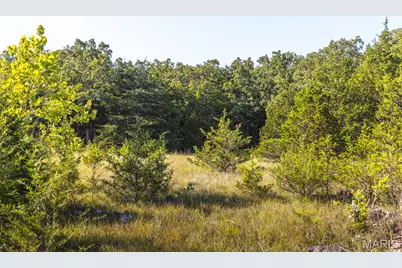 2436 Highway 17, Imperial, MO 65486 - Photo 27