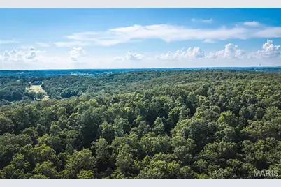2436 Highway 17, Imperial, MO 65486 - Photo 13