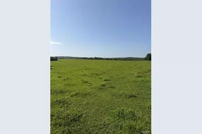 33020 Hall Rd, Richland, MO 65556 - Photo 79