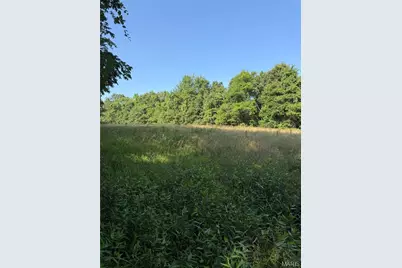 33020 Hall Rd, Richland, MO 65556 - Photo 67