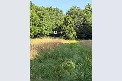 33020 Hall Rd, Richland, MO 65556 - Photo 19