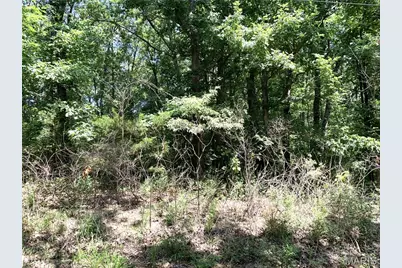 0 Magnolia Blossom Drive, New Haven, MO 63068 - Photo 3