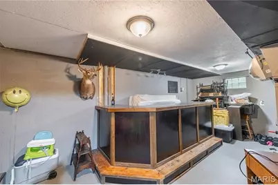 209 St. Jude Dr., Saint Genevieve, MO 63670 - Photo 21