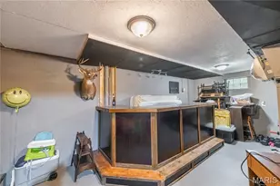 209 St Jude Dr, Saint Genevieve, MO 63670 - Photo 21