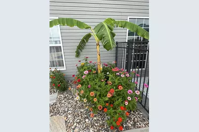3112 Stonebridge Place, Festus, MO 63028 - Photo 5