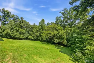 8 Appomattox Ridge, Festus, MO 63028 - Photo 57