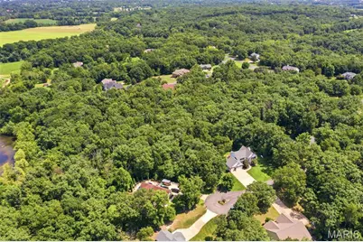 8 Appomattox Ridge, Festus, MO 63028 - Photo 61