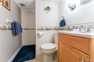 454 Lambeth Ln, Saint Louis, MO 63125 - Photo 29