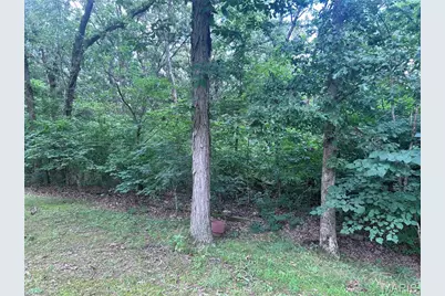 700 Lakeshore Drive, Cuba, MO 65453 - Photo 63
