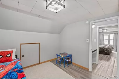 701 Vine Street, Festus, MO 63028 - Photo 49