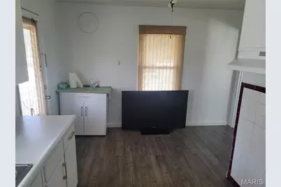 7316 Stolle Street, Saint Louis, MO 63116 - Photo 13