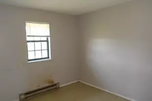 586 St Marys St, Pilot Knob, MO 63663 - Photo 13