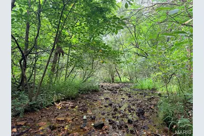416+- Acres Christy Mine Road, Bourbon, MO 65441 - Photo 15