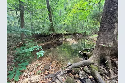 416+- Acres Christy Mine Road, Bourbon, MO 65441 - Photo 55