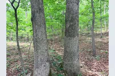 416+- Acres Christy Mine Road, Bourbon, MO 65441 - Photo 35