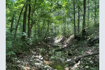416+- Acres Christy Mine Road, Bourbon, MO 65441 - Photo 49