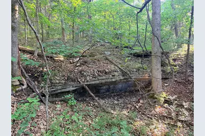 416+- Acres Christy Mine Road, Bourbon, MO 65441 - Photo 69