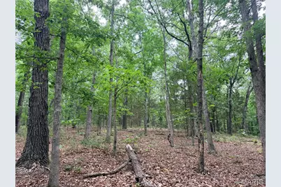 416+- Acres Christy Mine Road, Bourbon, MO 65441 - Photo 37