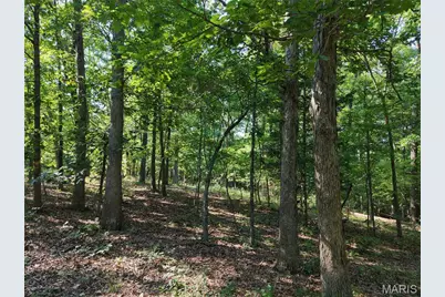 416+- Acres Christy Mine Road, Bourbon, MO 65441 - Photo 19