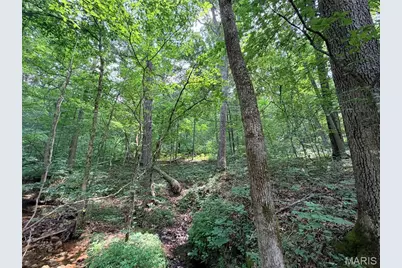 416+- Acres Christy Mine Road, Bourbon, MO 65441 - Photo 39