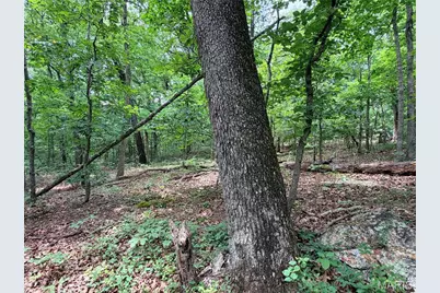416+- Acres Christy Mine Road, Bourbon, MO 65441 - Photo 29