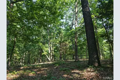 416+- Acres Christy Mine Road, Bourbon, MO 65441 - Photo 21