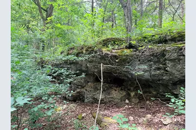 416+- Acres Christy Mine Road, Bourbon, MO 65441 - Photo 63