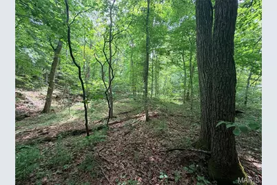 416+- Acres Christy Mine Road, Bourbon, MO 65441 - Photo 27