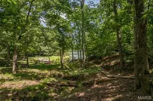 444 Foxfire Circle Dr, Innsbrook, MO 63390 - Photo 43
