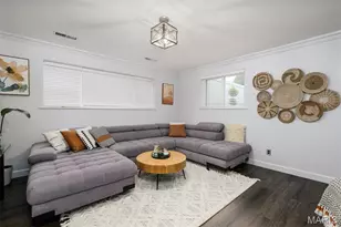 10202 Jubil Dr, Affton, MO 63123 - Photo 21