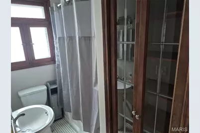 3919 Delor Street, Saint Louis, MO 63116 - Photo 11