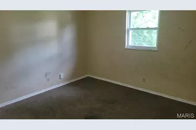 10107 Castle Drive, Saint Louis, MO 63136 - Photo 9