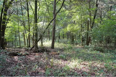 1971 Epple Road, Hermann, MO 65041 - Photo 87